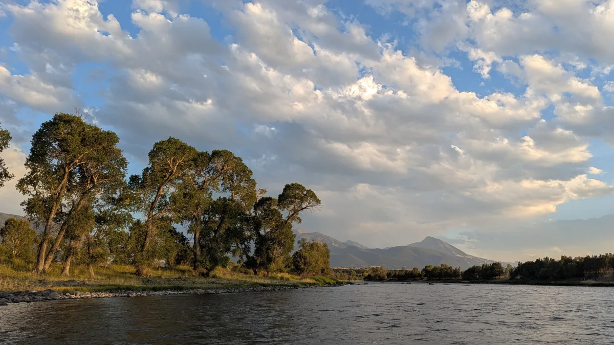 Yellowstone River in the summer