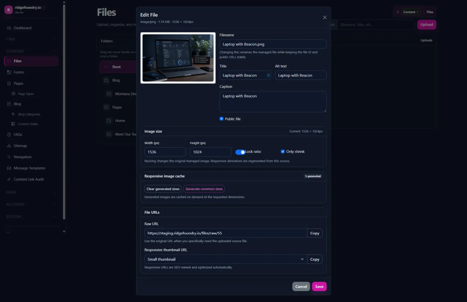 Beacon File Manager showing folder organization, searchable file cards, previews, and file actions